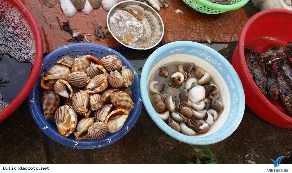Chợ Hải Sản - Một Góc Cuộc Sống Của Huyện Đảo Cô Tô - Ảnh 3