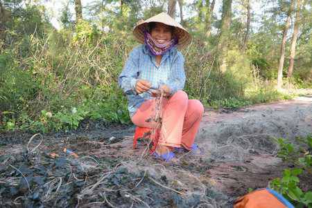 Chùm Ảnh Cuộc Sống Thường Ngày Trên Đảo Cô Tô - Ảnh 2 Chùm Ảnh Cuộc Sống Thường Ngày Trên Đảo Cô Tô - Ảnh 2