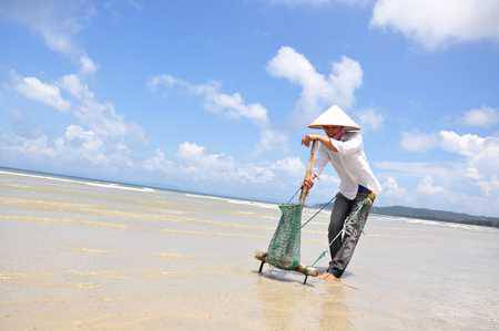 Chùm Ảnh Cuộc Sống Thường Ngày Trên Đảo Cô Tô - Ảnh 3 Chùm Ảnh Cuộc Sống Thường Ngày Trên Đảo Cô Tô - Ảnh 3