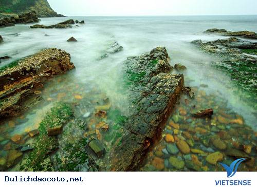 Chùm Ảnh Thiên Nhiên Cô Tô Tháng 3 Đẹp Như Miền Cổ Tích - Ảnh 5 Chùm Ảnh Thiên Nhiên Cô Tô Tháng 3 Đẹp Như Miền Cổ Tích - Ảnh 5