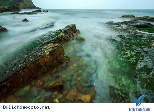 Chùm Ảnh Thiên Nhiên Cô Tô Tháng 3 Đẹp Như Miền Cổ Tích - Ảnh 6 Chùm Ảnh Thiên Nhiên Cô Tô Tháng 3 Đẹp Như Miền Cổ Tích - Ảnh 6