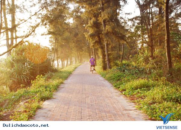 Con đường tình yêu tại đảo Cô Tô - Ảnh 2