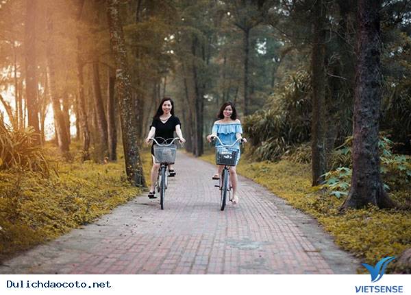 Nét quyến rũ của đảo Cô Tô