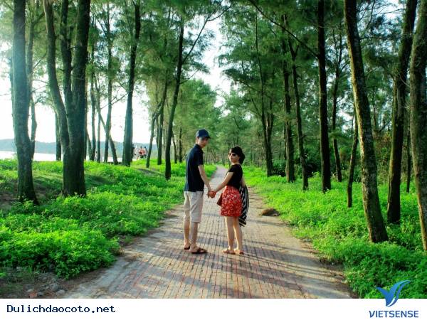 Con đường tình yêu tại đảo Cô Tô - Ảnh 1