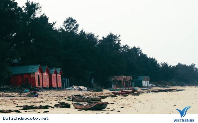 Có Những Thứ Đừng Ngạc Nhiên Ở Cô Tô - Ảnh 1 Có Những Thứ Đừng Ngạc Nhiên Ở Cô Tô - Ảnh 1