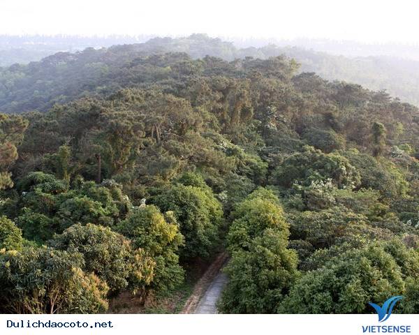 Cô Tô Phấn Đấu Trở Thành khu thăm quan Biển Đảo Quốc Gia - Ảnh 1