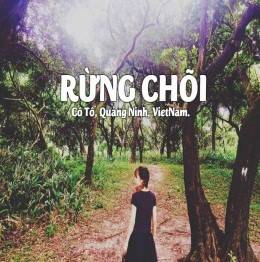 COMBO DỊCH VỤ ĐẢO - Ảnh 4 COMBO DỊCH VỤ ĐẢO - Ảnh 4