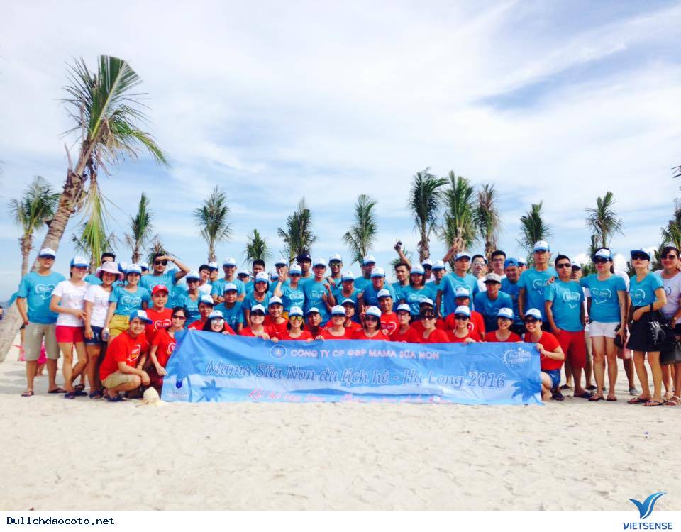 Công Ty Cp GP Mama Sữa Non hành trình Cô Tô 2016 - Ảnh 1