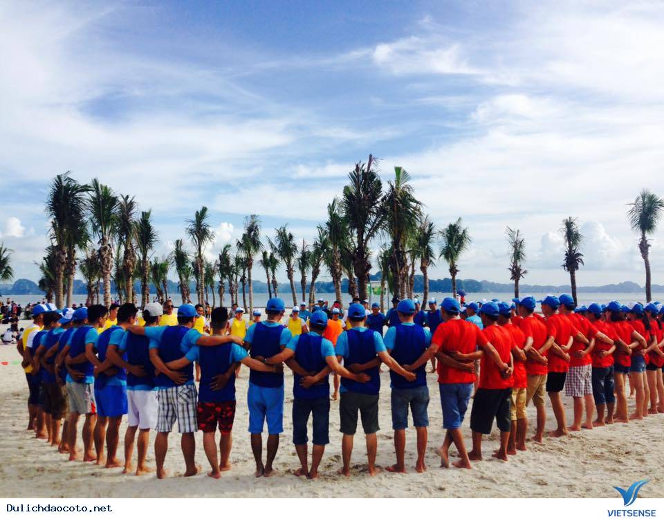 Công Ty Cp GP Mama Sữa Non hành trình Cô Tô 2016 - Ảnh 2