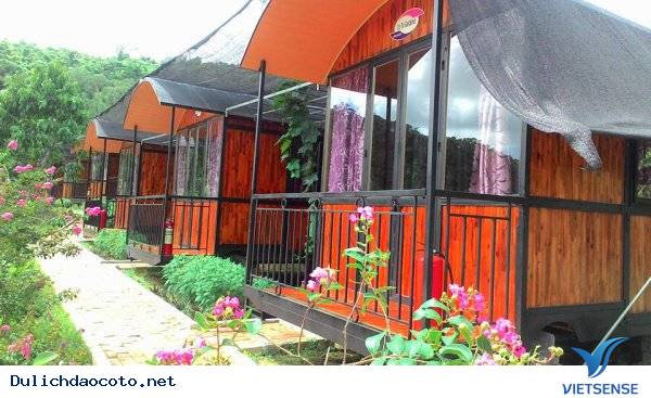 Coto Eco Host - Coto Gardens Điểm Lưu Trú Lý Tưởng Dành Cho Giới Trẻ - Ảnh 10