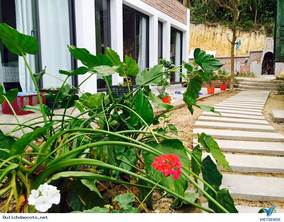 Coto Eco Host - Coto Gardens Điểm Lưu Trú Lý Tưởng Dành Cho Giới Trẻ - Ảnh 3