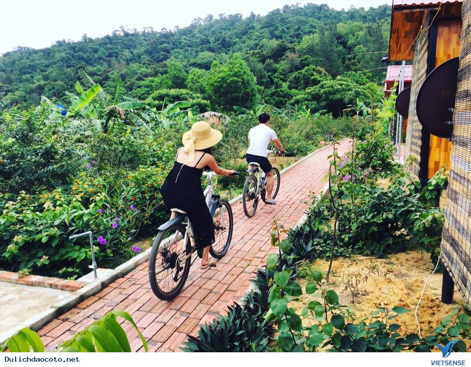 Coto Eco Host - Coto Gardens Điểm Lưu Trú Lý Tưởng Dành Cho Giới Trẻ - Ảnh 13