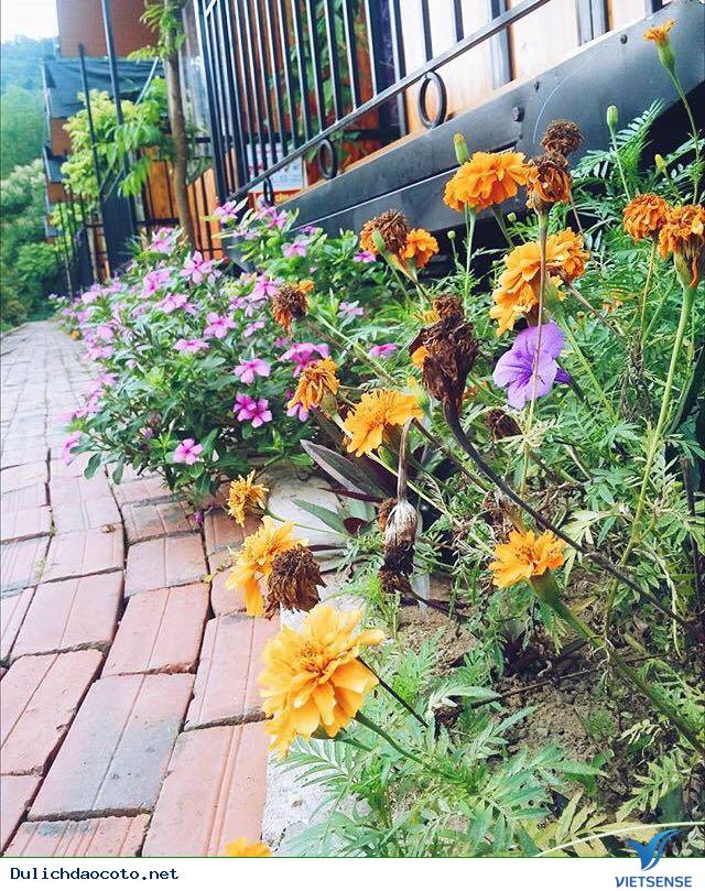 Coto Eco Host - Coto Gardens Điểm Lưu Trú Lý Tưởng Dành Cho Giới Trẻ - Ảnh 16