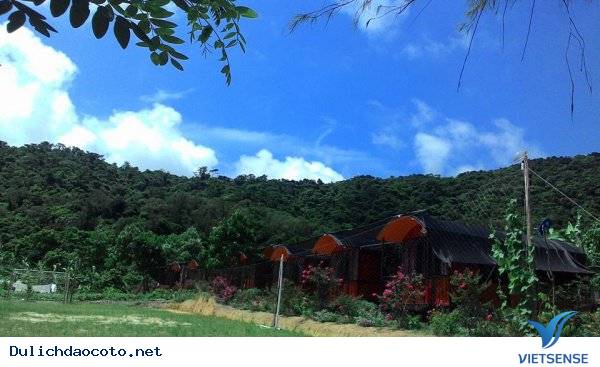 Coto Eco Host - Coto Gardens Điểm Lưu Trú Lý Tưởng Dành Cho Giới Trẻ - Ảnh 15