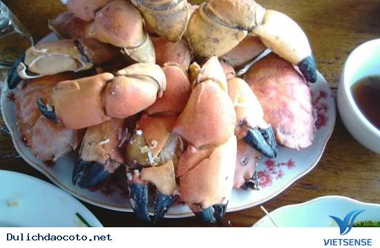 Cù Kỳ Và Những Món Ăn Đặc Sắc Từ Cù Kỳ Đảo Cô Tô - Ảnh 5