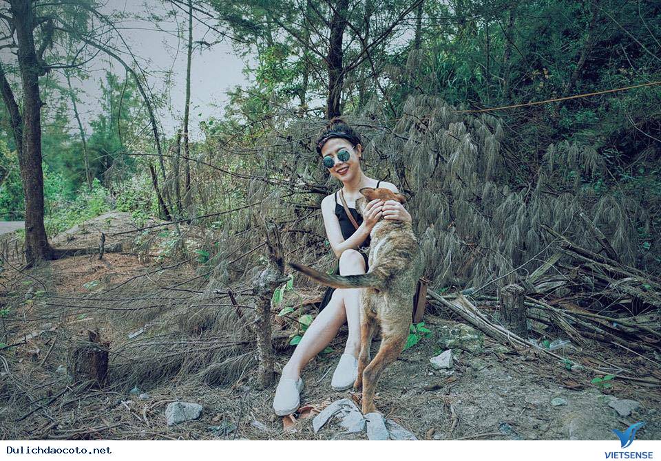 Đảo Cô Tô - Điểm Đến Của Những Cô Nàng Độc Thân - Ảnh 6