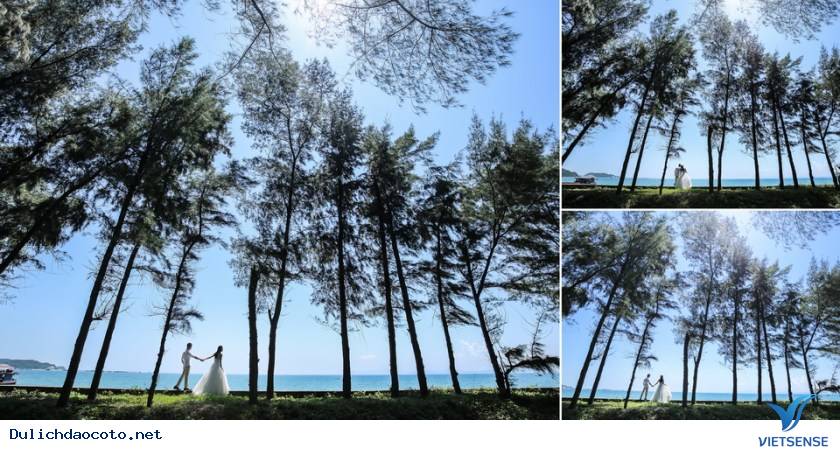 Đảo Cô Tô - Thiên Đường Lý Tưởng Chụp Ảnh Cưới Cho Mọi Cặp Đôi - Ảnh 19