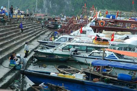 Đảo Cô Tô - Điểm Nghỉ Dưỡng Lý Tưởng Của Mùa Hè - Ảnh 2