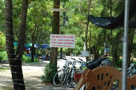 Đảo Cô Tô - Điểm Nghỉ Dưỡng Lý Tưởng Của Mùa Hè - Ảnh 17