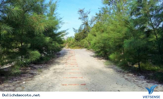 Đến Cô Tô Để Thấy Việt Nam Đẹp Đến Nhường Nào - Ảnh 7