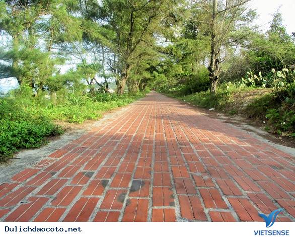 Đến Cô Tô Để Thấy Việt Nam Đẹp Đến Nhường Nào - Ảnh 4