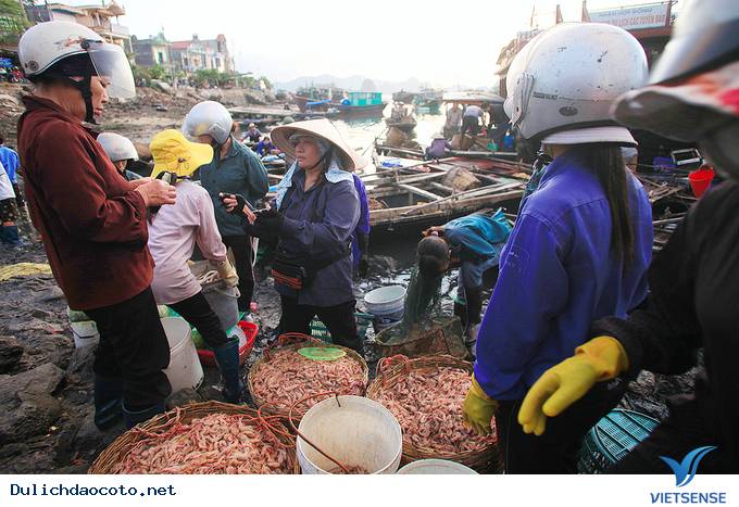 Đông Đúc Tấp Nập Chợ Hải Sản Trên Cầu Cảng Ra Đảo Cô Tô - Ảnh 7