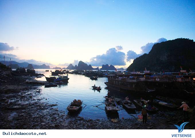 Đông Đúc Tấp Nập Chợ Hải Sản Trên Cầu Cảng Ra Đảo Cô Tô - Ảnh 1