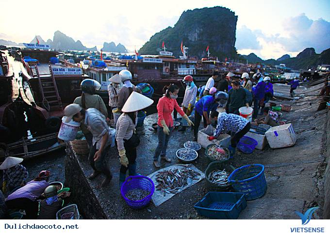 Đông Đúc Tấp Nập Chợ Hải Sản Trên Cầu Cảng Ra Đảo Cô Tô - Ảnh 2