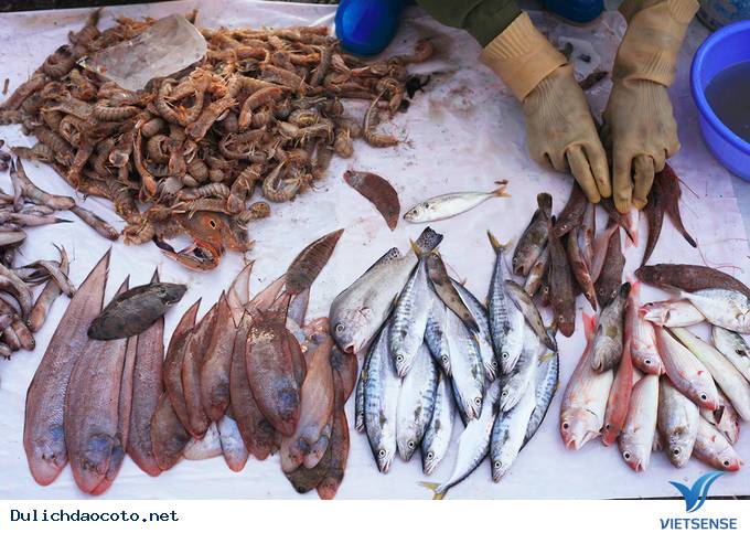 Đông Đúc Tấp Nập Chợ Hải Sản Trên Cầu Cảng Ra Đảo Cô Tô - Ảnh 8