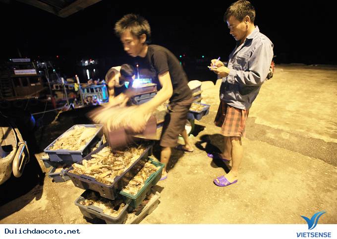 Đông Đúc Tấp Nập Chợ Hải Sản Trên Cầu Cảng Ra Đảo Cô Tô - Ảnh 11