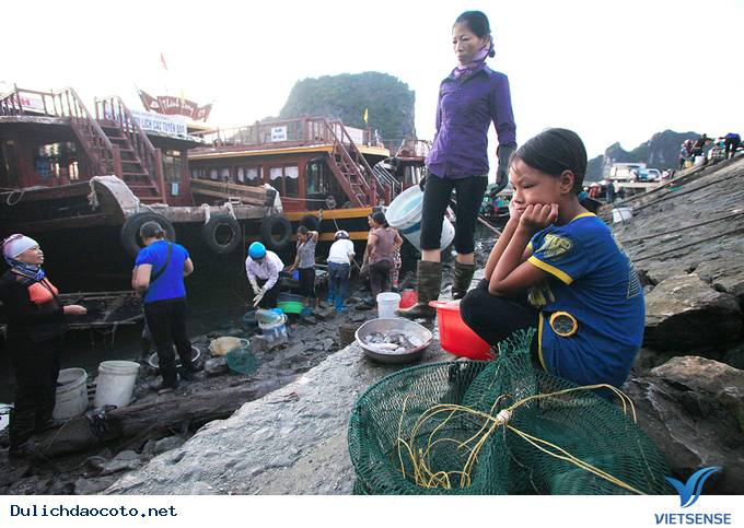 Đông Đúc Tấp Nập Chợ Hải Sản Trên Cầu Cảng Ra Đảo Cô Tô - Ảnh 10