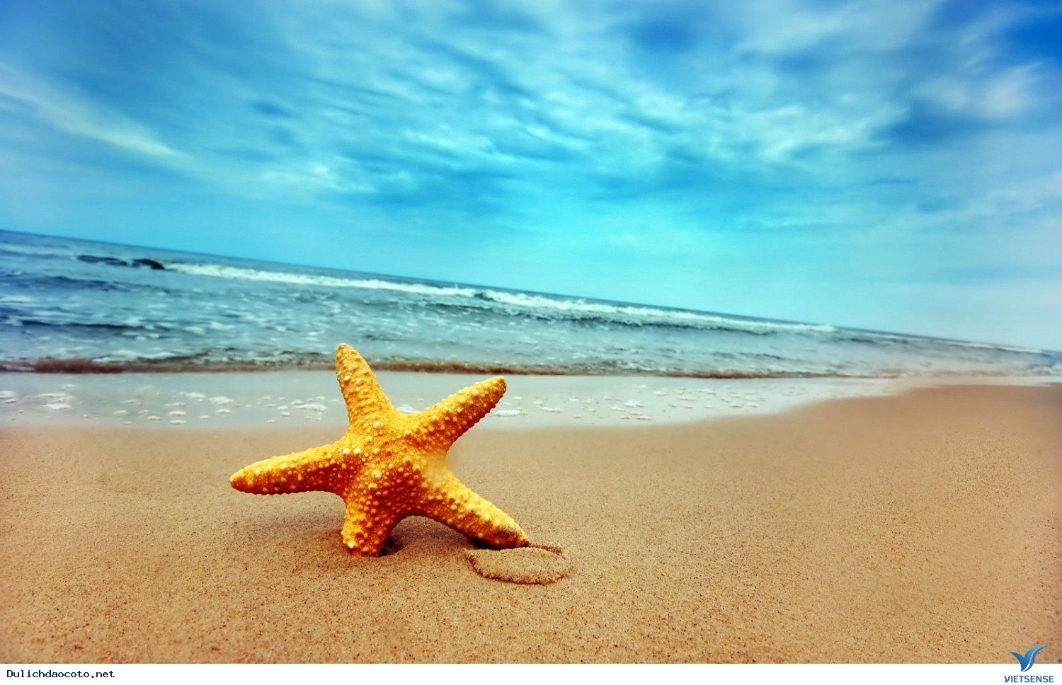 hành trình Cô Tô - Xu Hướng Của Dịp Hè 2025 - Ảnh 2 hành trình Cô Tô - Xu Hướng Của Dịp Hè 2025 - Ảnh 2