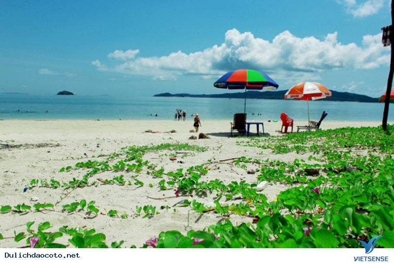 Đến Cô Tô Mùa Nghỉ Lễ Và Khám Phá Vẻ Đẹp Hoang Sơ Bãi Hồng Vàn - Ảnh 5 Đến Cô Tô Mùa Nghỉ Lễ Và Khám Phá Vẻ Đẹp Hoang Sơ Bãi Hồng Vàn - Ảnh 5