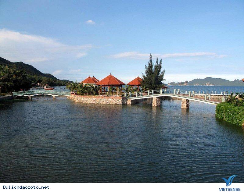 hành trình đừng bỏ qua Bãi Dài Quảng Ninh đầy hoang sơ - Ảnh 2