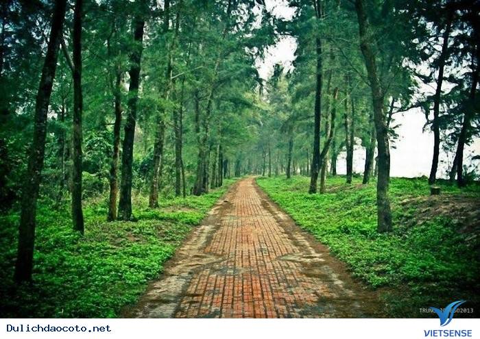 Đừng Bỏ Phí Những Địa Điểm Có Một Không Hai Này Khi Đến Với Cô Tô - Ảnh 2 Đừng Bỏ Phí Những Địa Điểm Có Một Không Hai Này Khi Đến Với Cô Tô - Ảnh 2