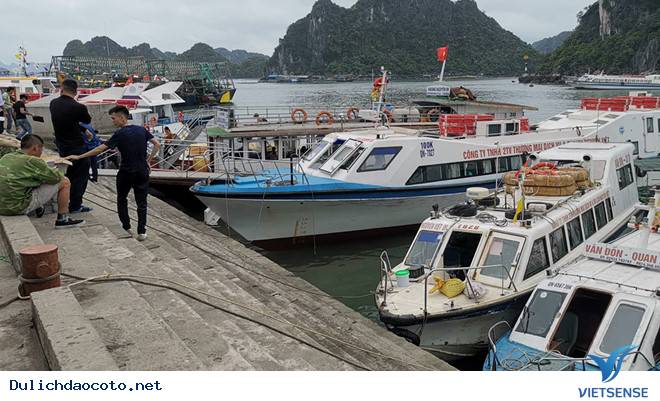 Giá vé tàu cao tốc Cô Tô 2019 là bao nhiêu? - Ảnh 3 Giá vé tàu cao tốc Cô Tô 2019 là bao nhiêu? - Ảnh 3