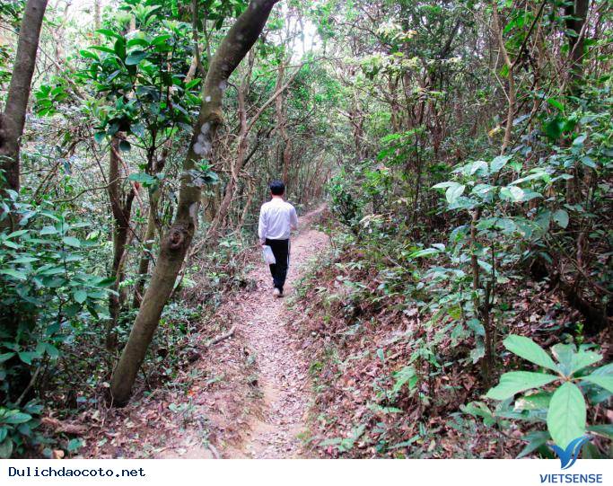 Hình Ảnh Đảo Thanh Lân Đẹp Quyến Rũ - Ảnh 4