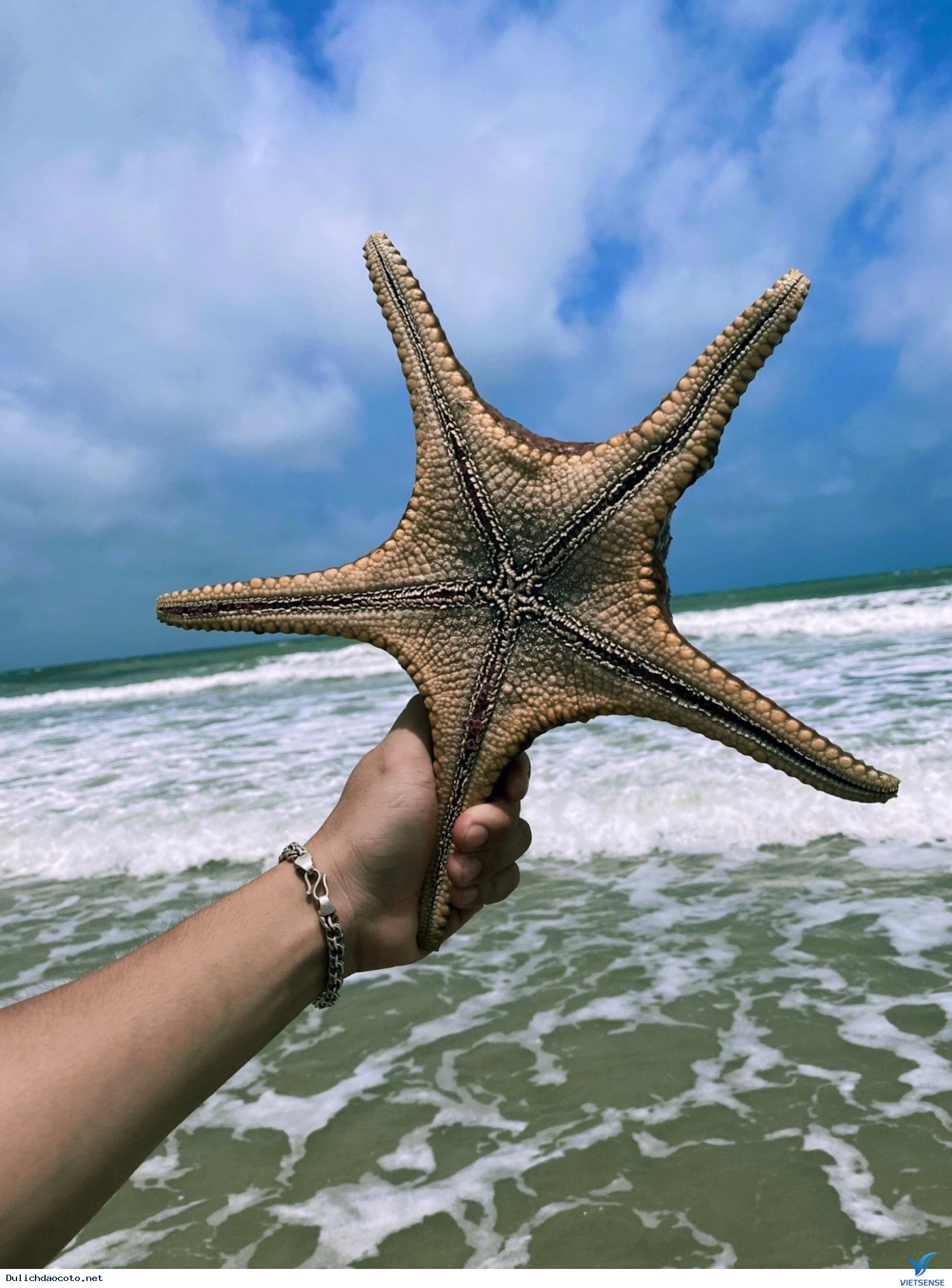 Hình Ảnh Chương trình Cô Tô Đoàn Riêng Tháng 6 - Ảnh 5