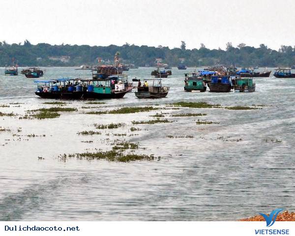 Huyện Đảo Cô Tô Đẩy Mạnh Phát Triển Nghề Cá - Ảnh 1