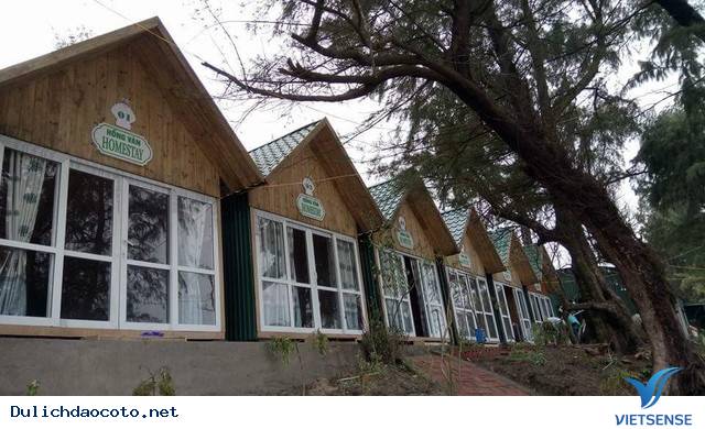 Liệt kê nhanh 10 homestay đẹp ‘’mê hồn’’ tại Cô Tô - Ảnh 1 Liệt kê nhanh 10 homestay đẹp ‘’mê hồn’’ tại Cô Tô - Ảnh 1