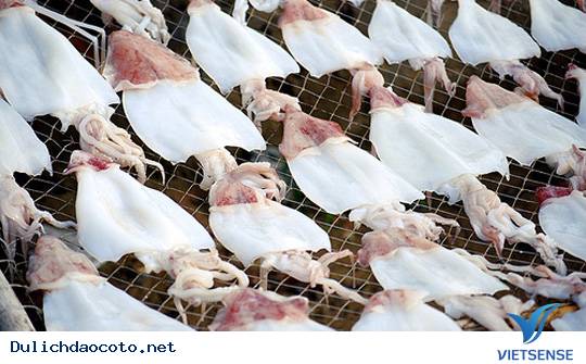 Mực Ống Cô Tô – Đặc Sản Biển Đảo Cô Tô - Ảnh 1