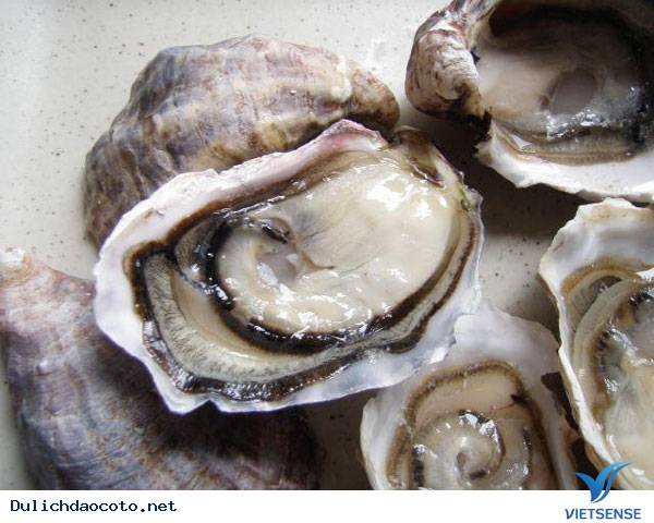 Hàu Biển - Ảnh 1