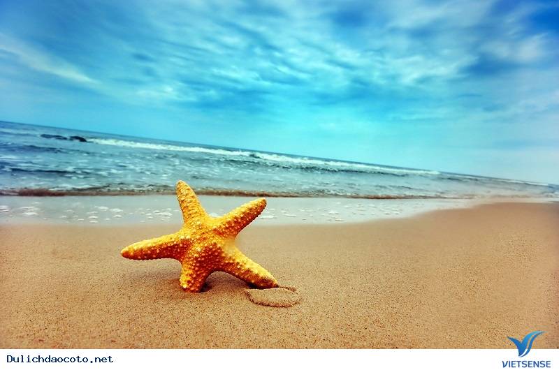 Những Điểm Đến Lãng Mạn Cho Chuyến Du Hí Cô Tô Dịp 30/4 - Ảnh 3