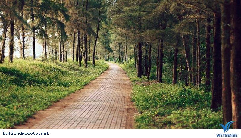 Những Điểm Đến Lãng Mạn Cho Chuyến Du Hí Cô Tô Dịp 30/4 - Ảnh 4