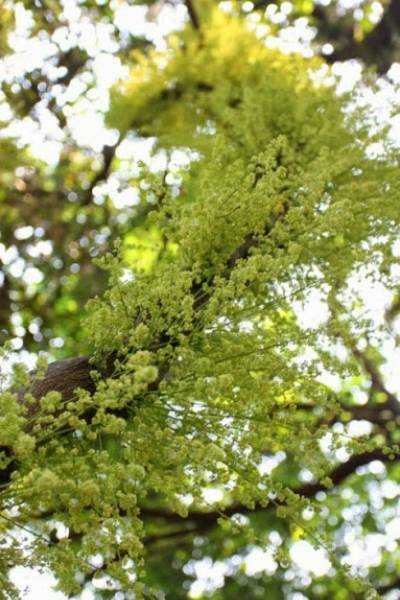 Những Trải Nghiệm Lãng Mạn Ở Đảo Cô Tô Dành Cho Các Cặp Đôi - Ảnh 3