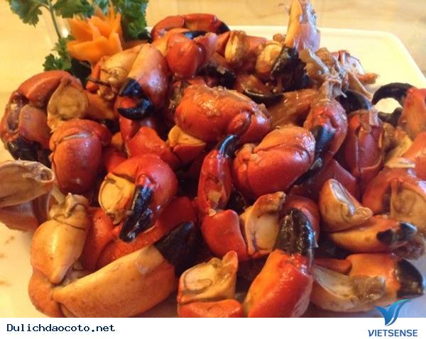 Cù kỳ Đảo Cô Tô