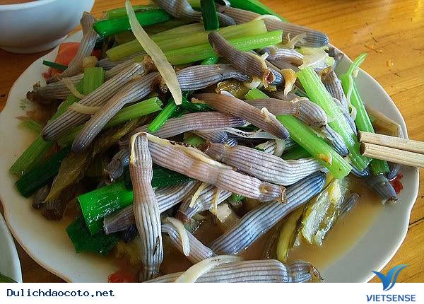 Sá sùng Đảo Cô Tô