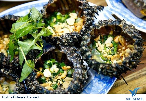 Cầu Gai Đảo Cô Tô