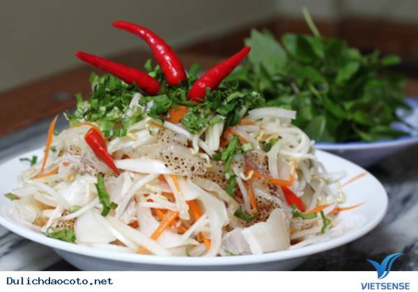 Sứa Cô Tô Đảo Cô Tô