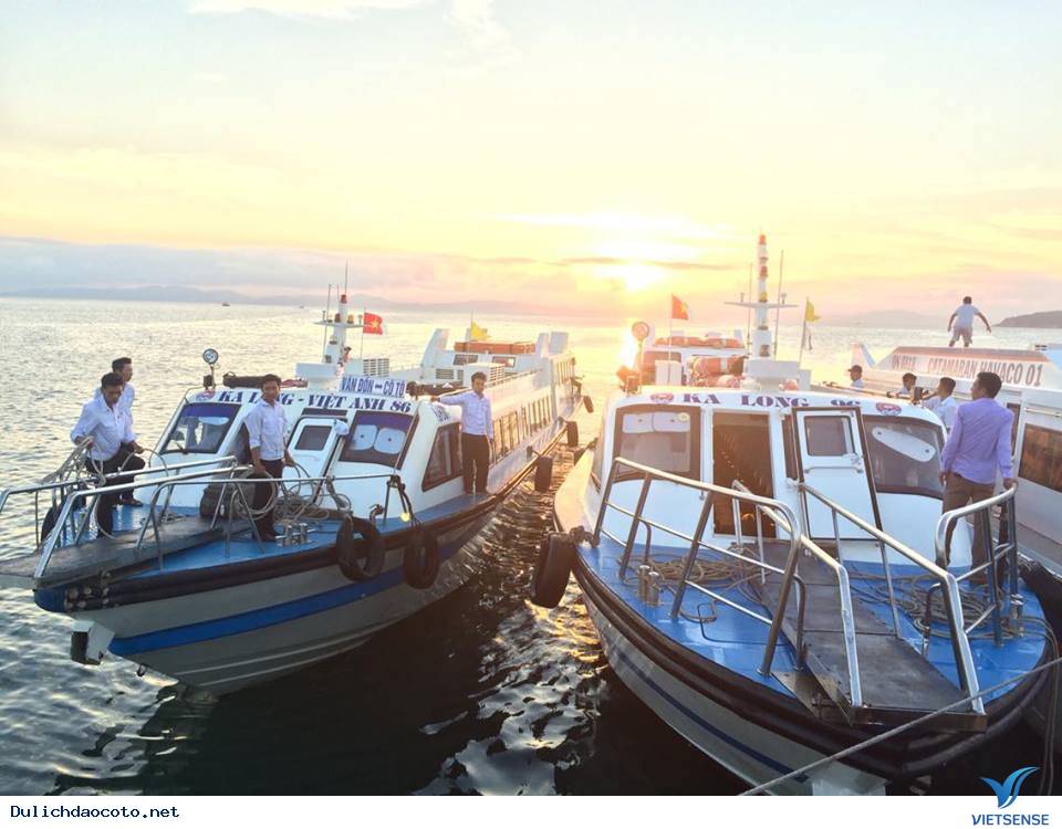 Cách di chuyển, đến Cô Tô bằng cách nào? Cách di chuyển, đến Cô Tô bằng cách nào?